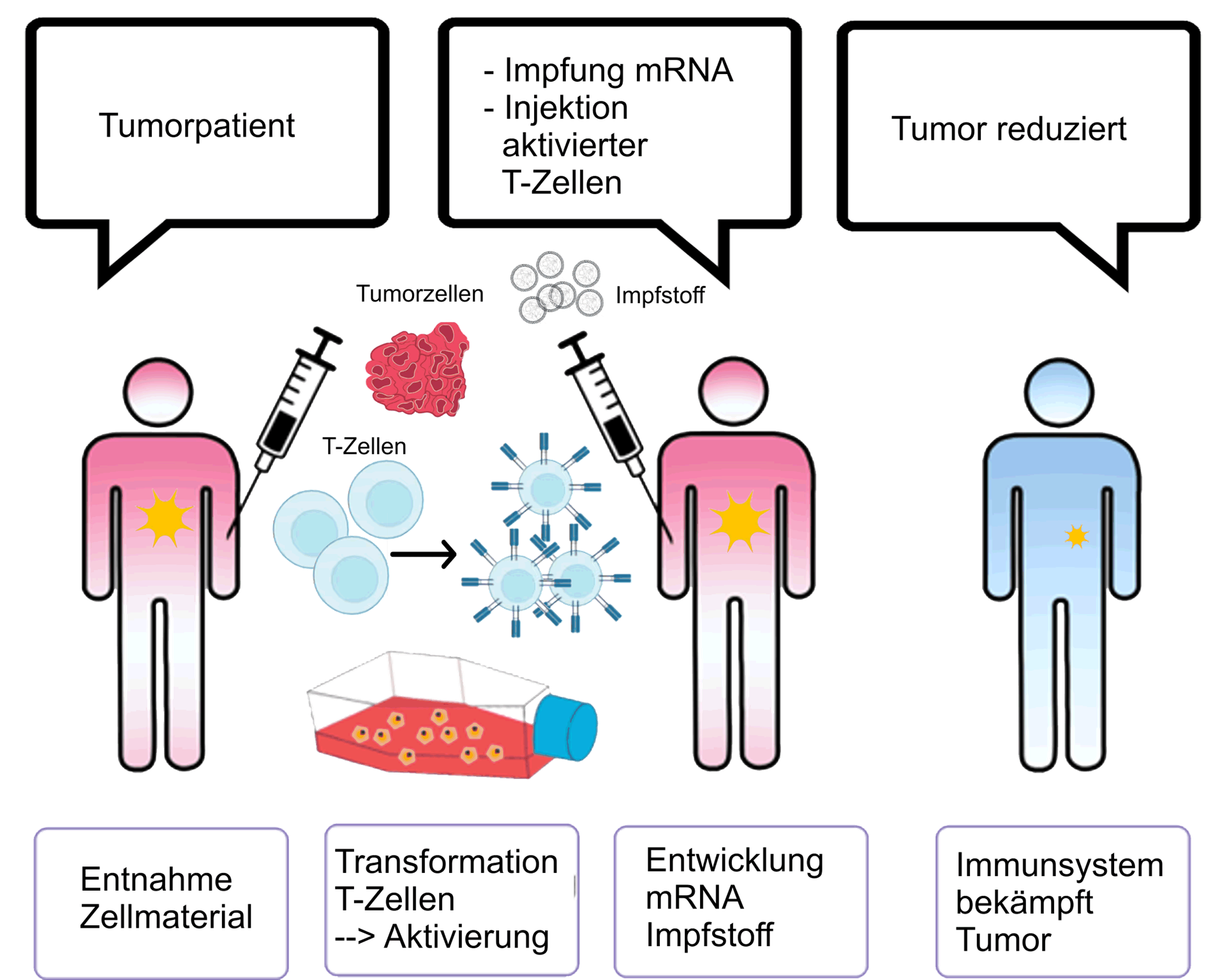 mRNA-Therapie