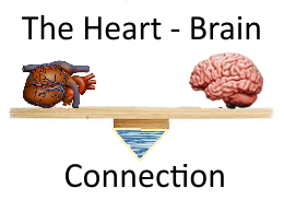 heart brain