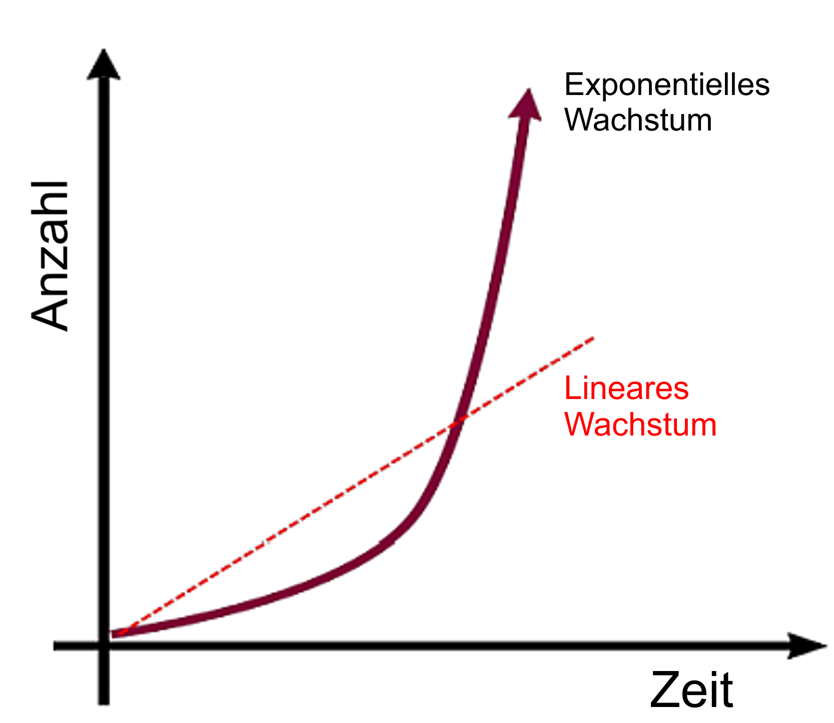 Exponentielle_Kurve