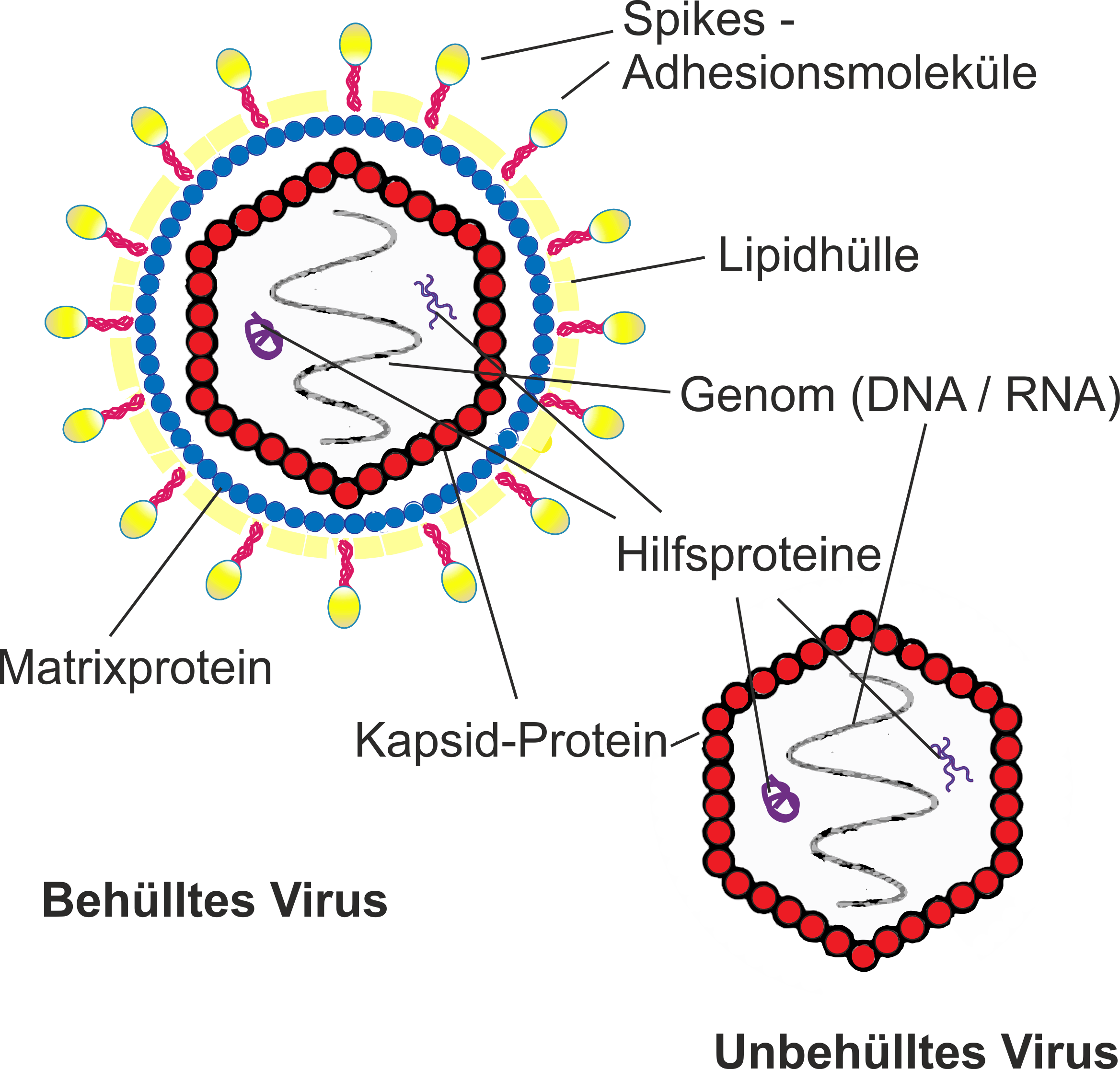 Virus_01